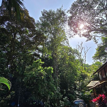Cool Waters Jungle Villas Uvita Luaran gambar