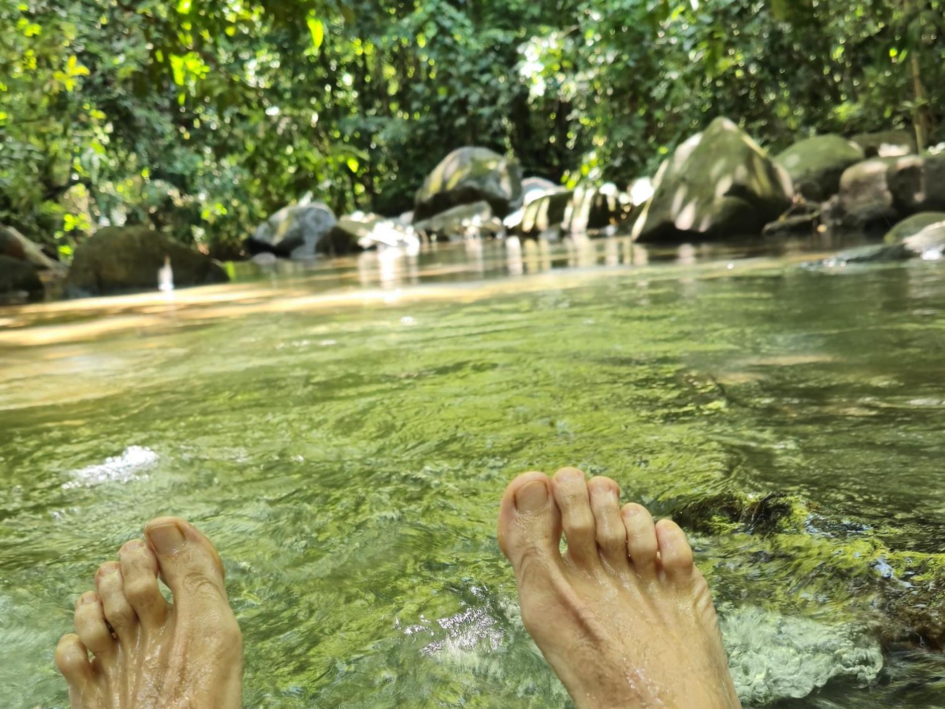 Cool Waters Jungle Villas Uvita Luaran gambar