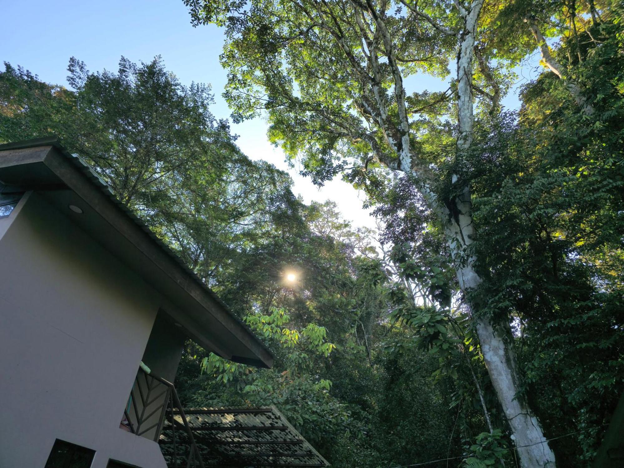 Cool Waters Jungle Villas Uvita Luaran gambar