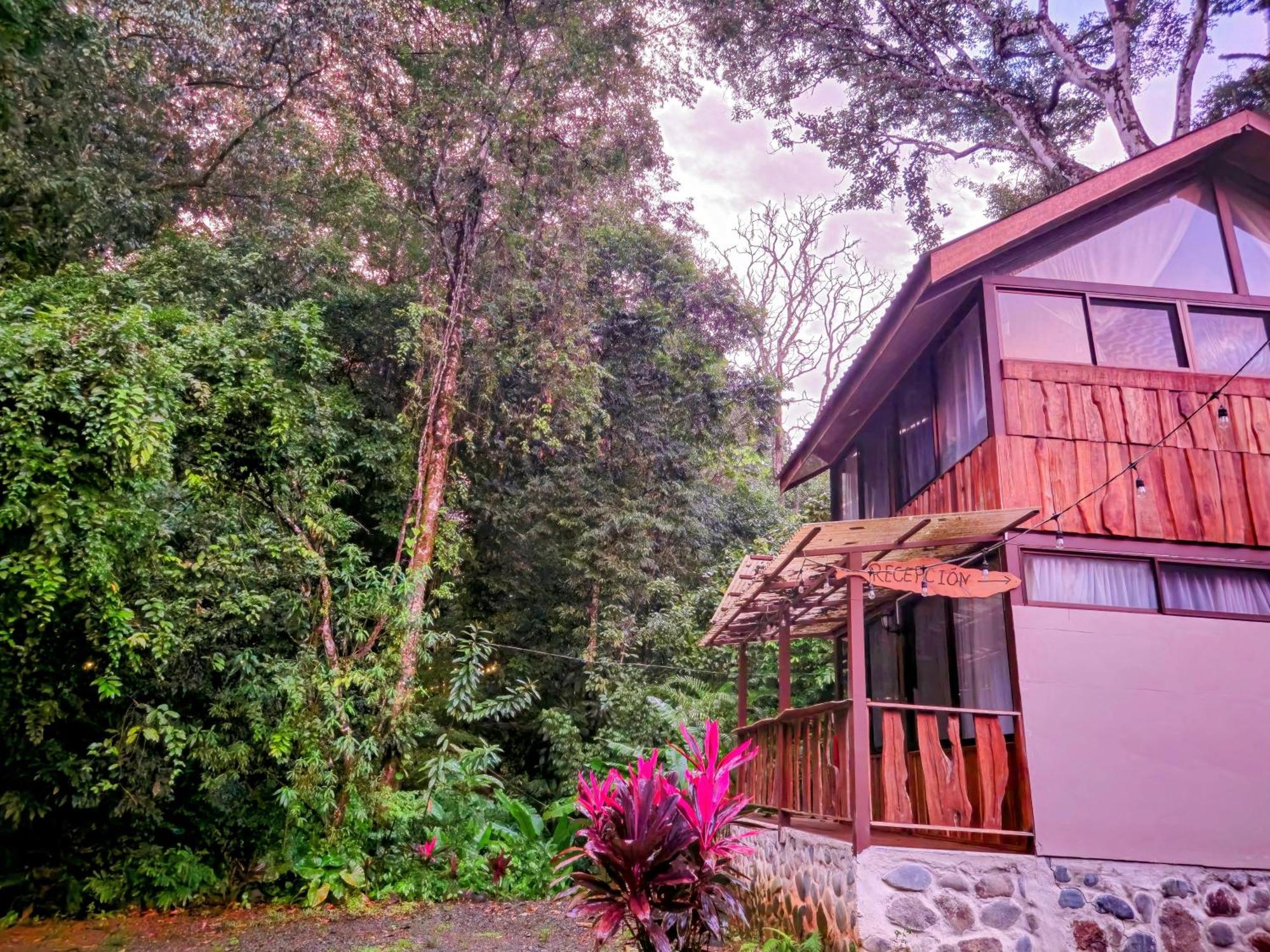 Cool Waters Jungle Villas Uvita Luaran gambar