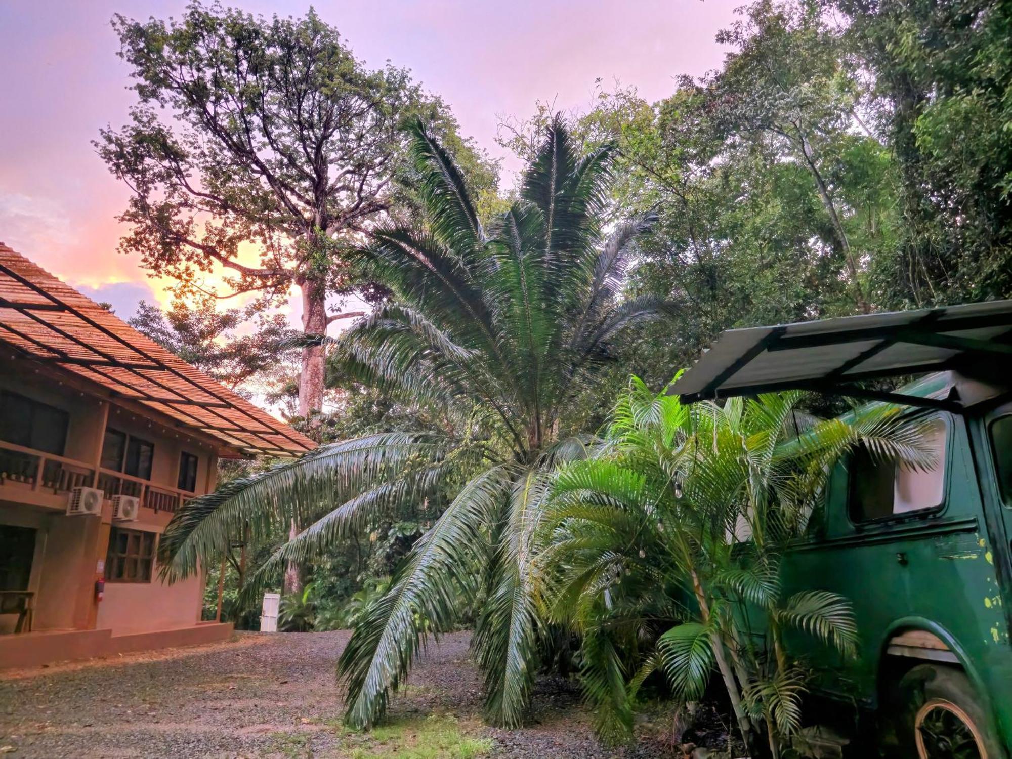 Cool Waters Jungle Villas Uvita Luaran gambar