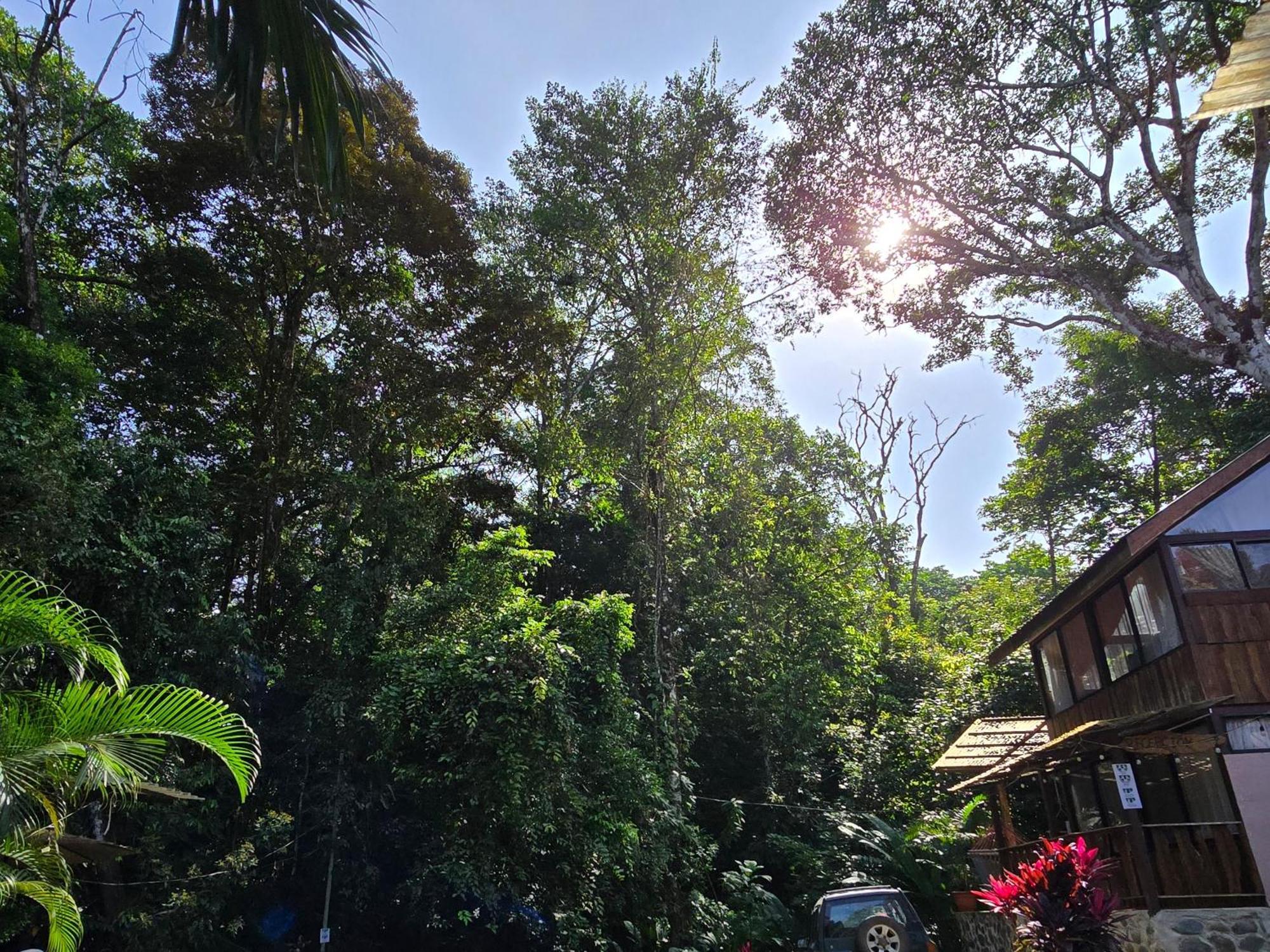 Cool Waters Jungle Villas Uvita Luaran gambar